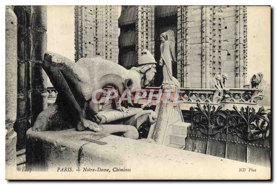 CPA Gargouille Paris Notre Dame Chimeres 