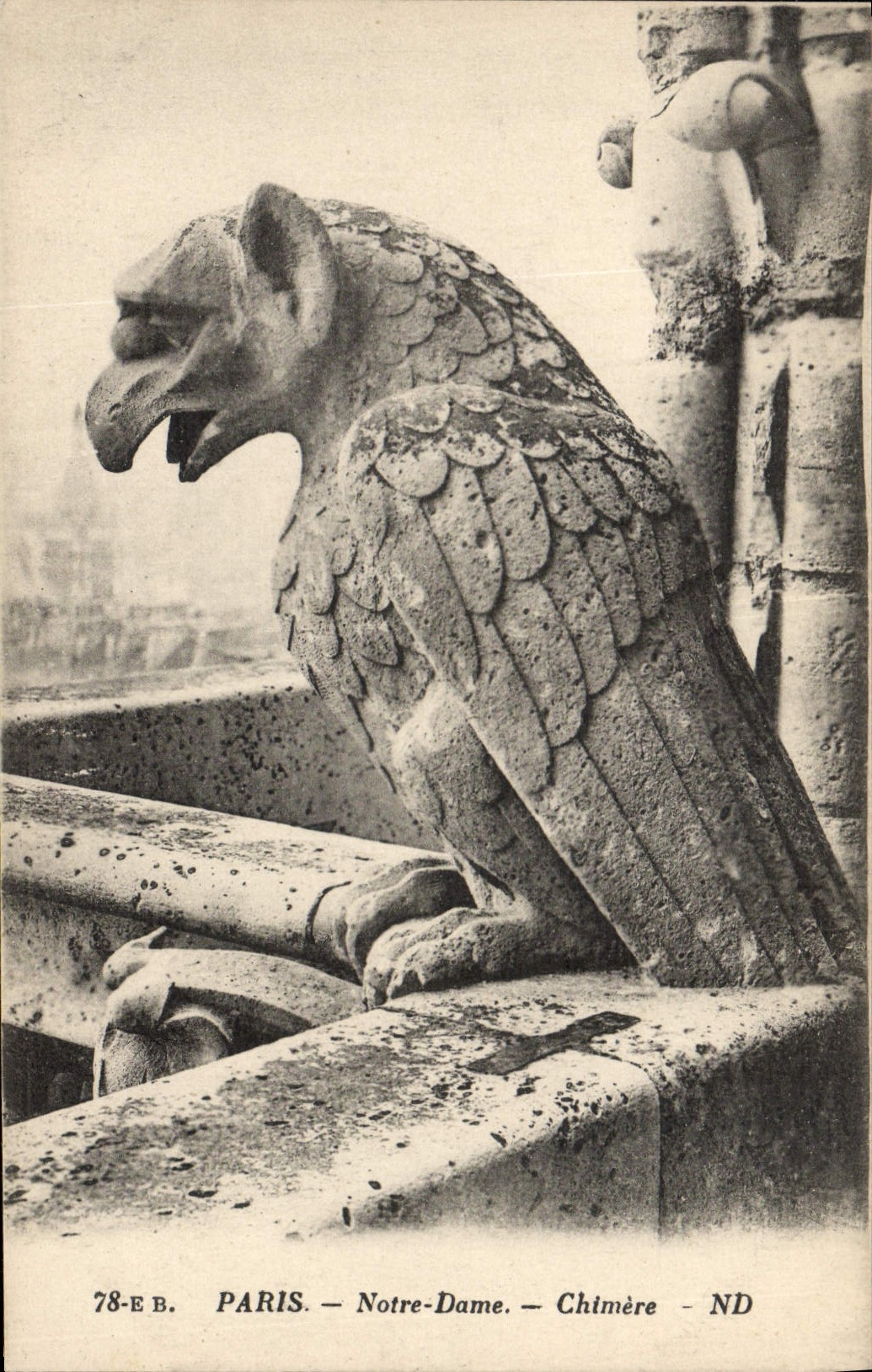 CPA Gargouille Paris Notre Dame Chimere 
