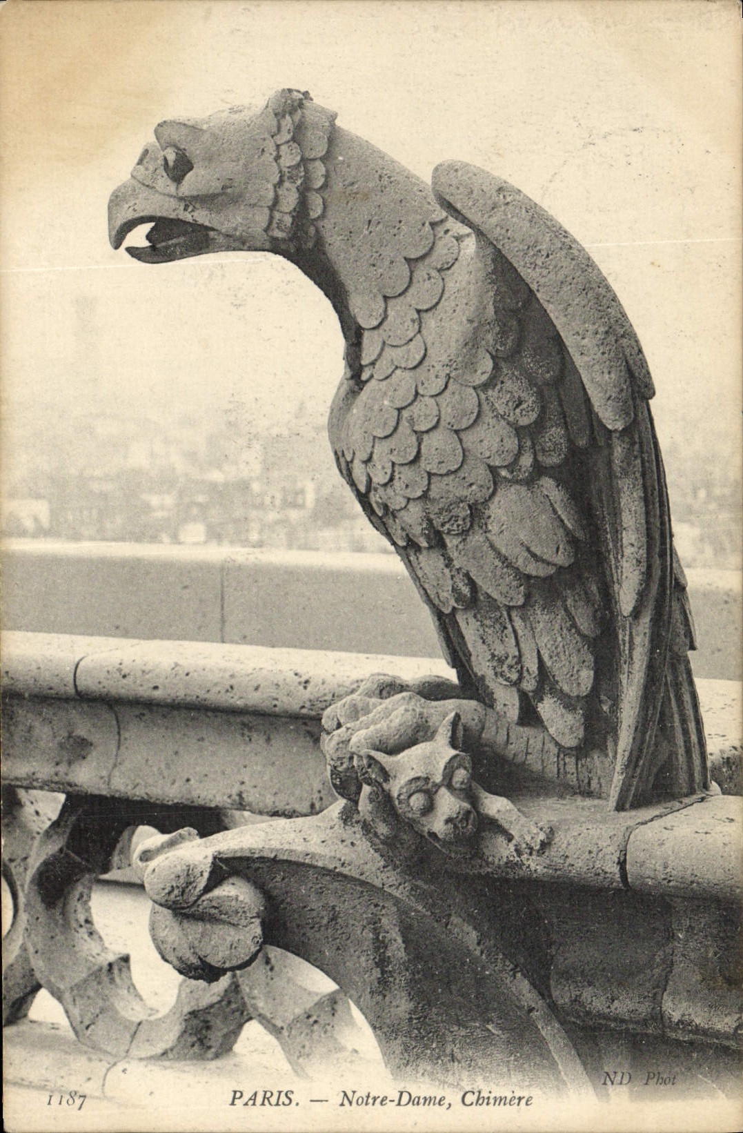 CPA Gargouille Paris Notre Dame Chimere 