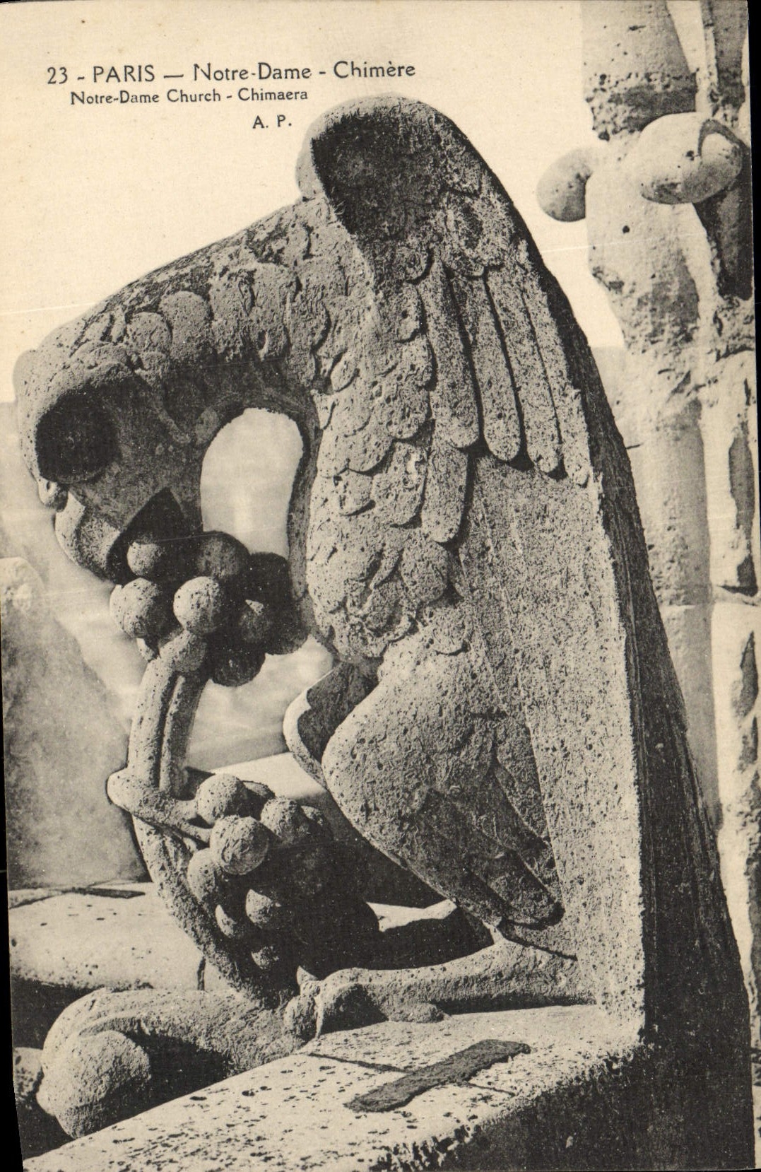 CPA Gargouille Paris Notre Dame Chimere 
