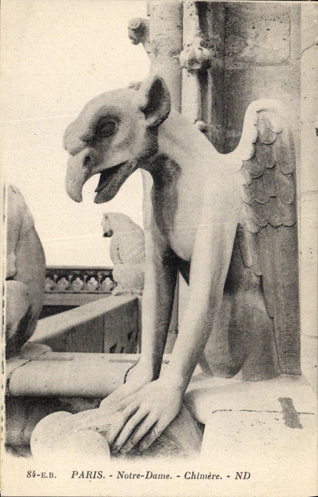 CPA Gargouille Paris Notre Dame Chimere 