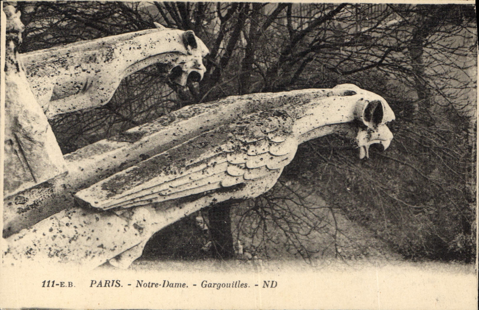 CPA Gargouille Paris Notre Dame 