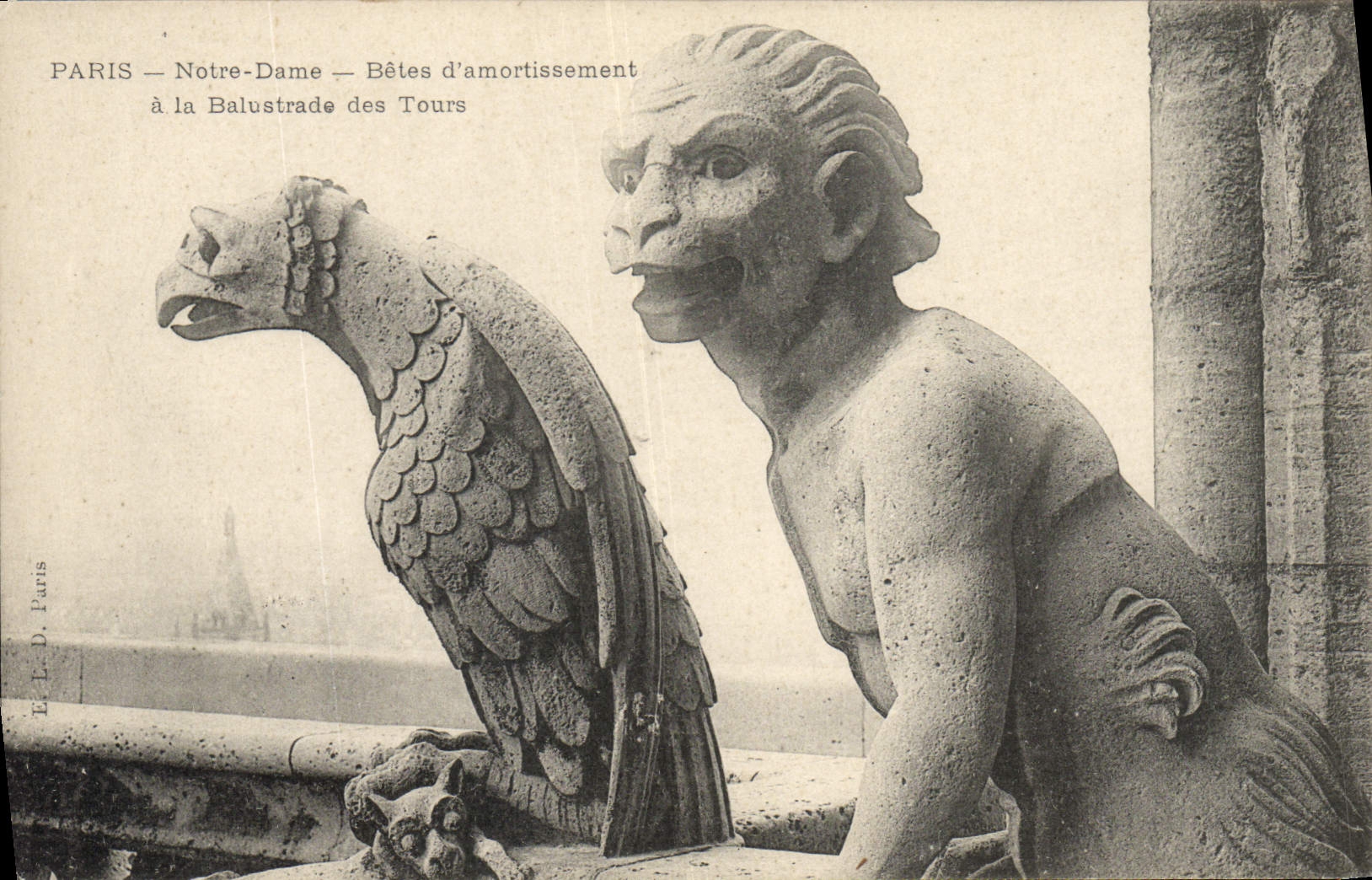 CPA Gargouille Paris Notre Dame Betes d'amortissement a la balustrade des Tours 