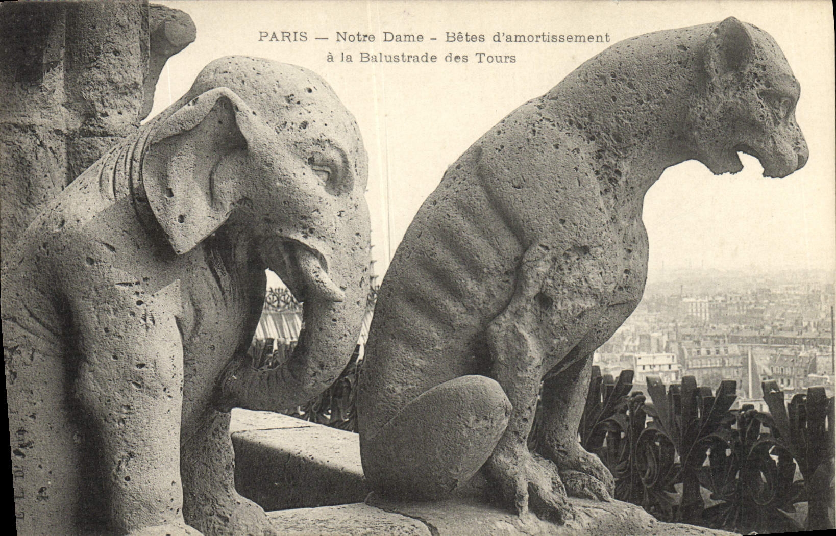 CPA Gargouille Paris Notre Dame Betes d'amortissement a la balustrade des Tours Elephant 