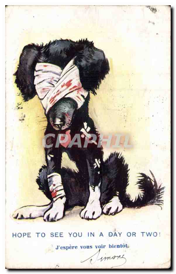 Chien blessé — éditeur Inter-Art Co. — n° 785