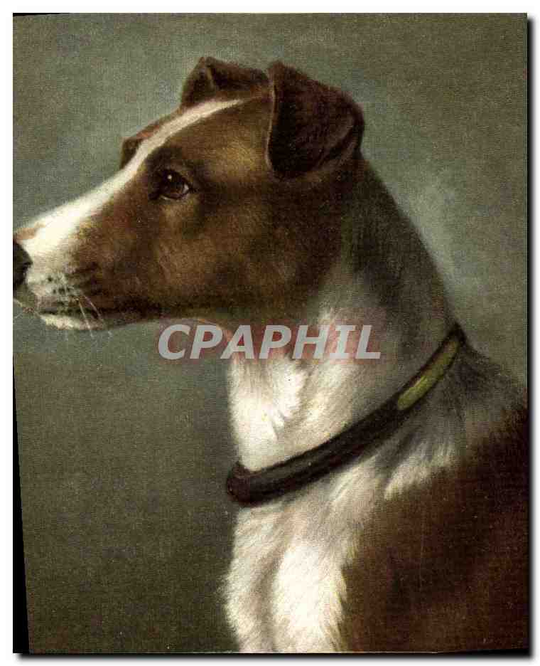 Portrait d'un chien — éditeur Varlet, série 205-00-1277 - Anverso