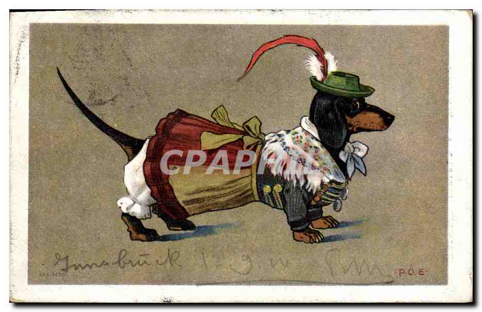 Chien en costume de danseur — Gymnastik — P.O.E. (éditeur)