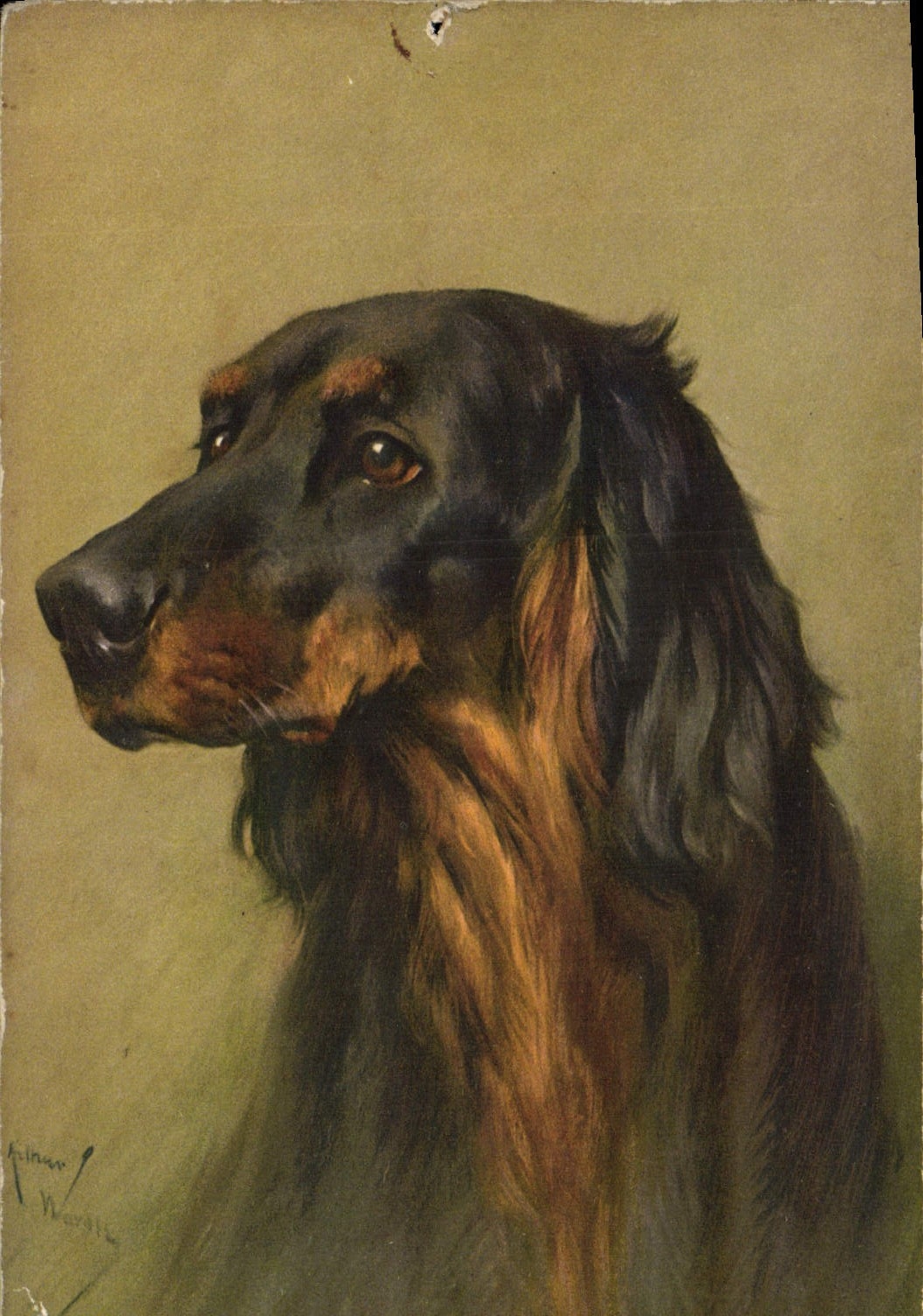 Portrait d'un Afghan — peinture — Arthur Wartha, n° 112