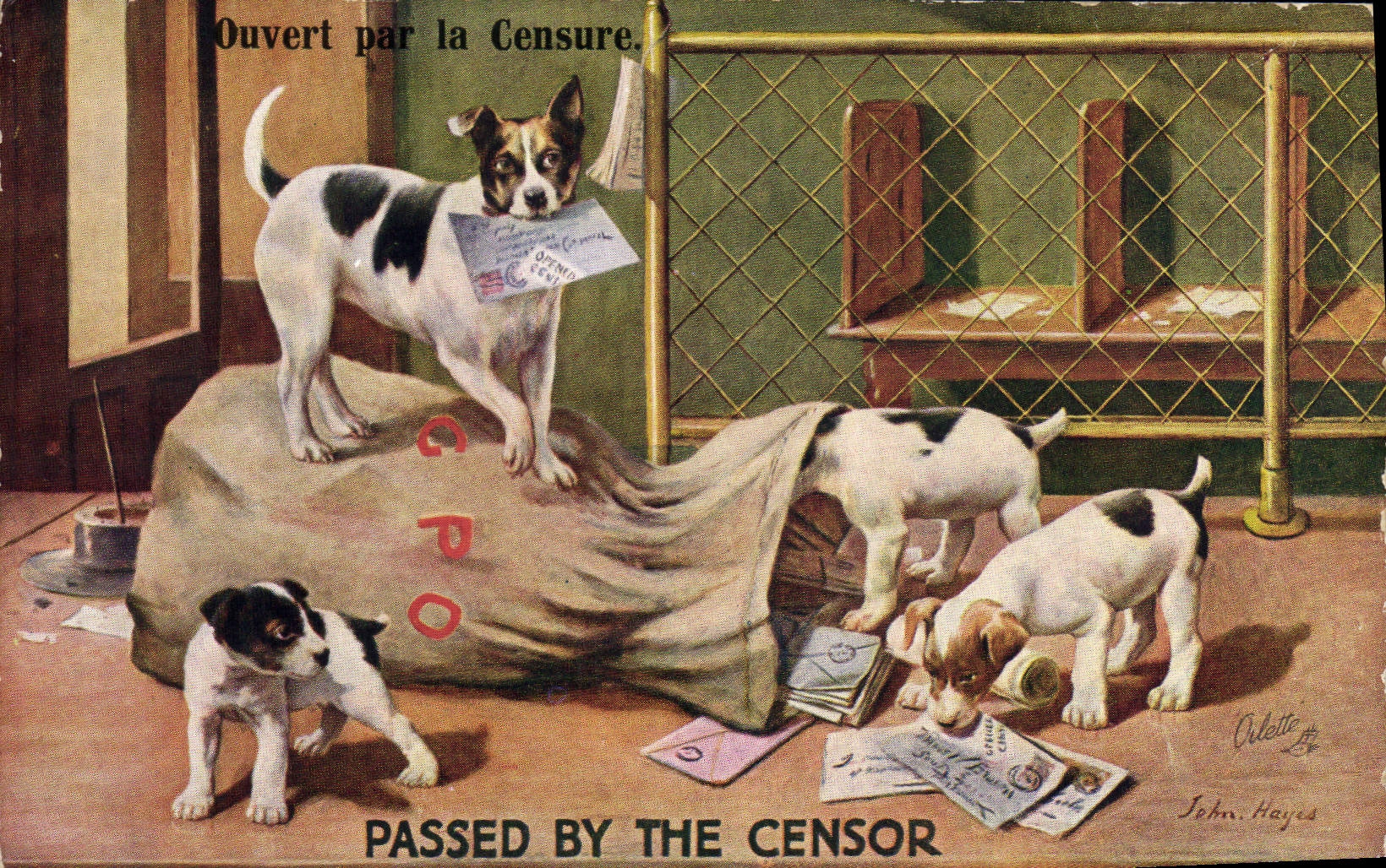 CPA Chien Chiens Chiot Ouvert par la censure