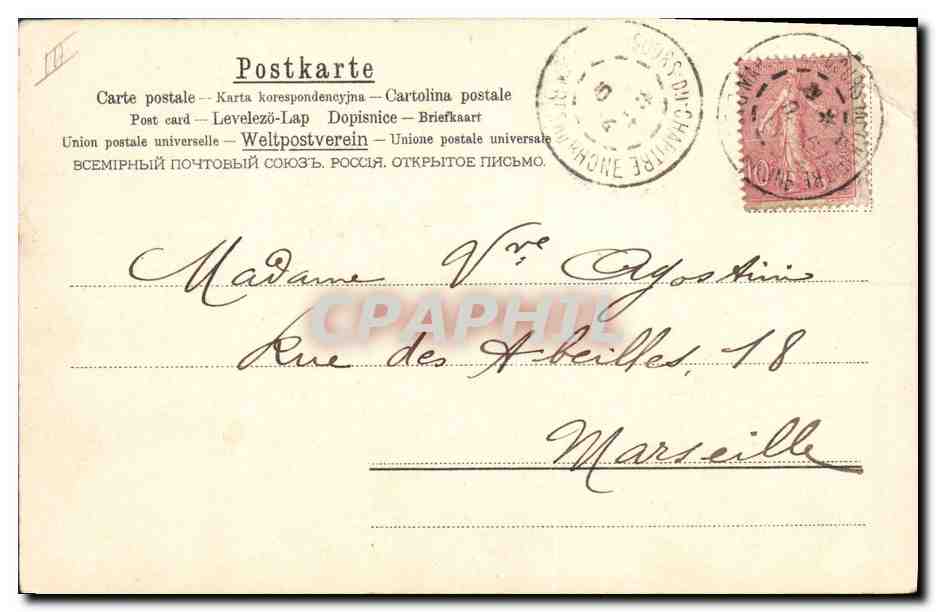CPA Chien Chiens Chiot — Verso