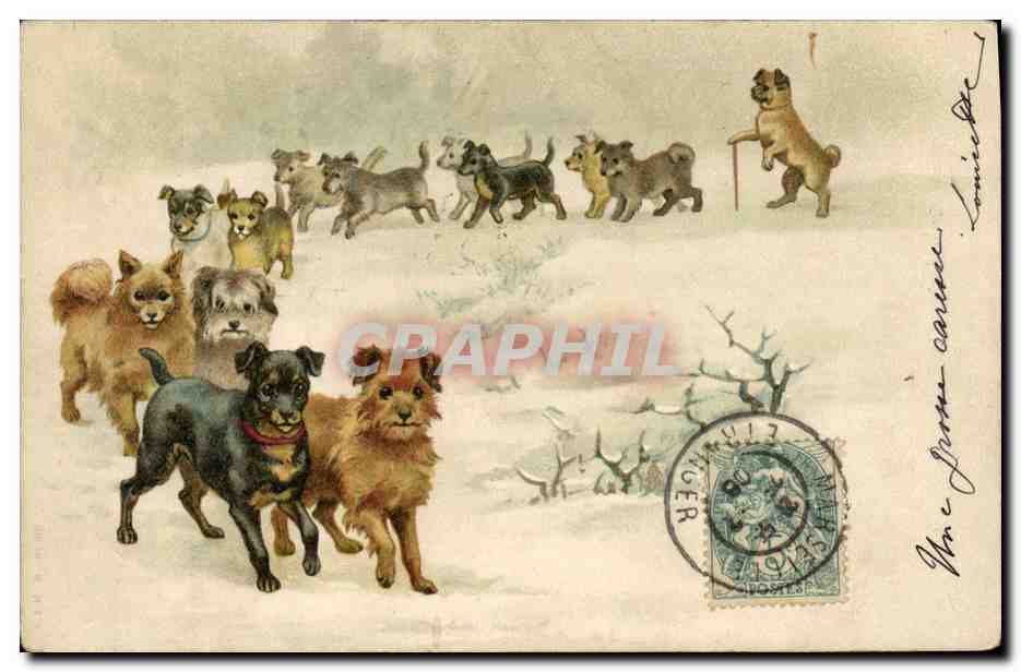 Chiens enneigés — scène animée — éditeur non visible
