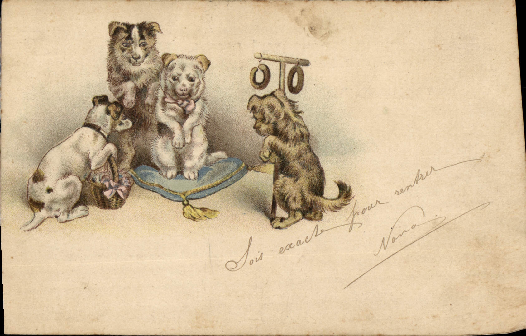 Chiens — scène de vie — Imprimerie Bellonnet, n° II