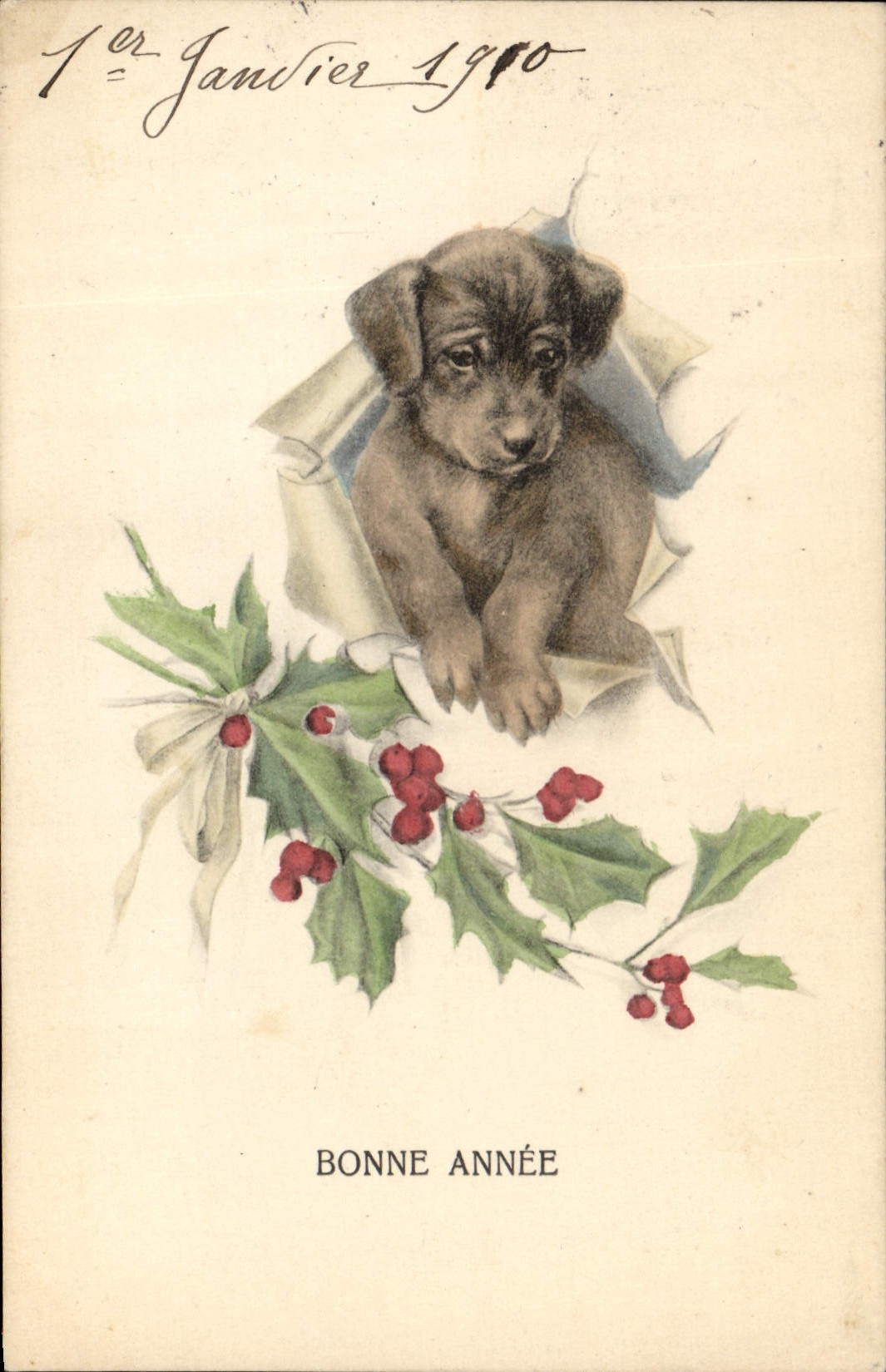 CPA Chien Chiens Chiot Bonne annee