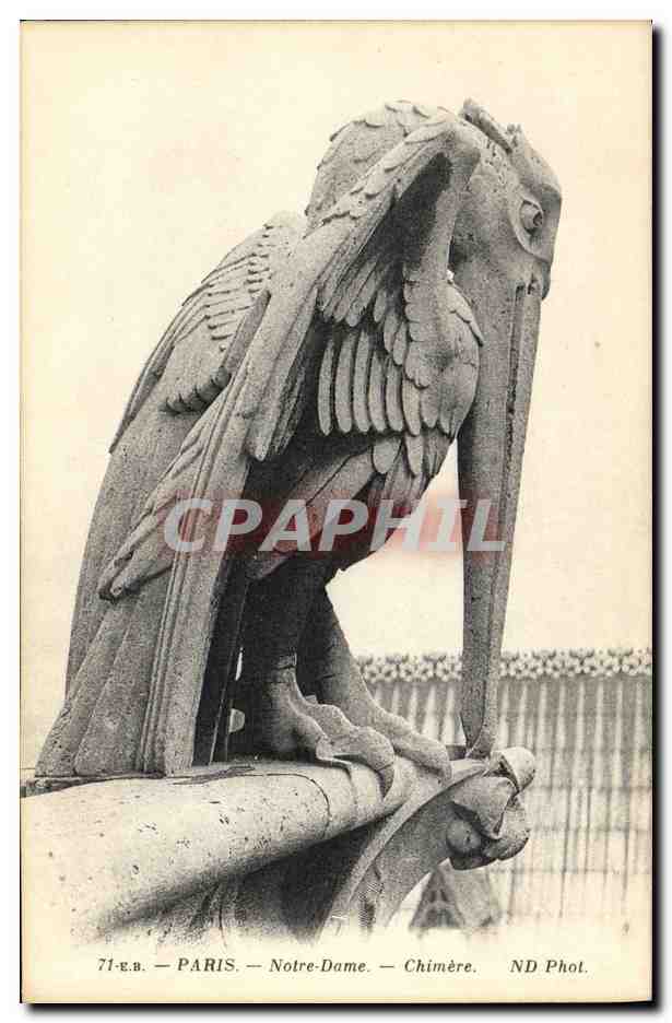 CPA Gargouille Paris Notre Dame Chimere