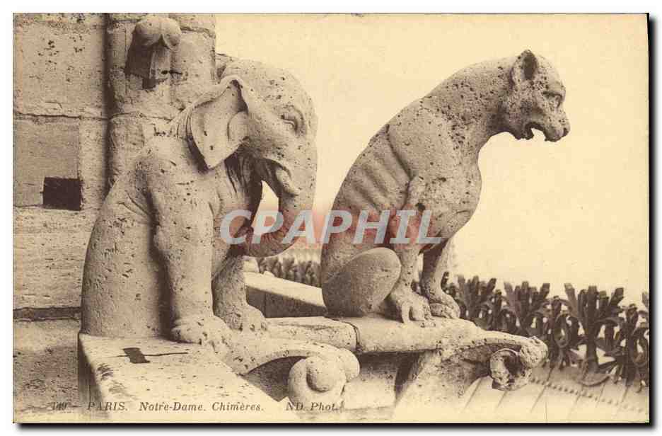 CPA Gargouille Paris Notre Dame Chimeres Elephant