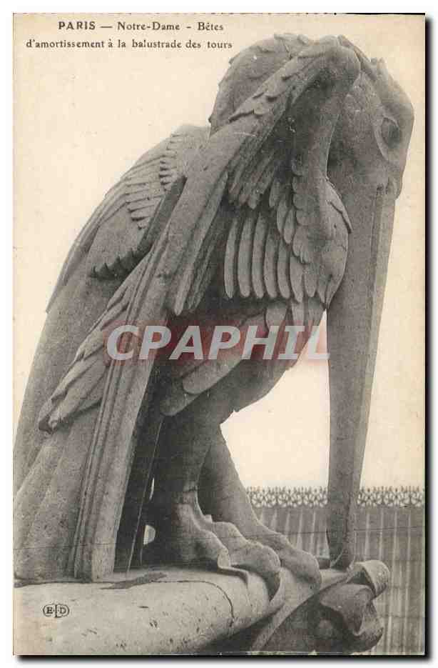 CPA Gargouille Paris Notre Dame Betes d'amortissement a la balustrade des tours