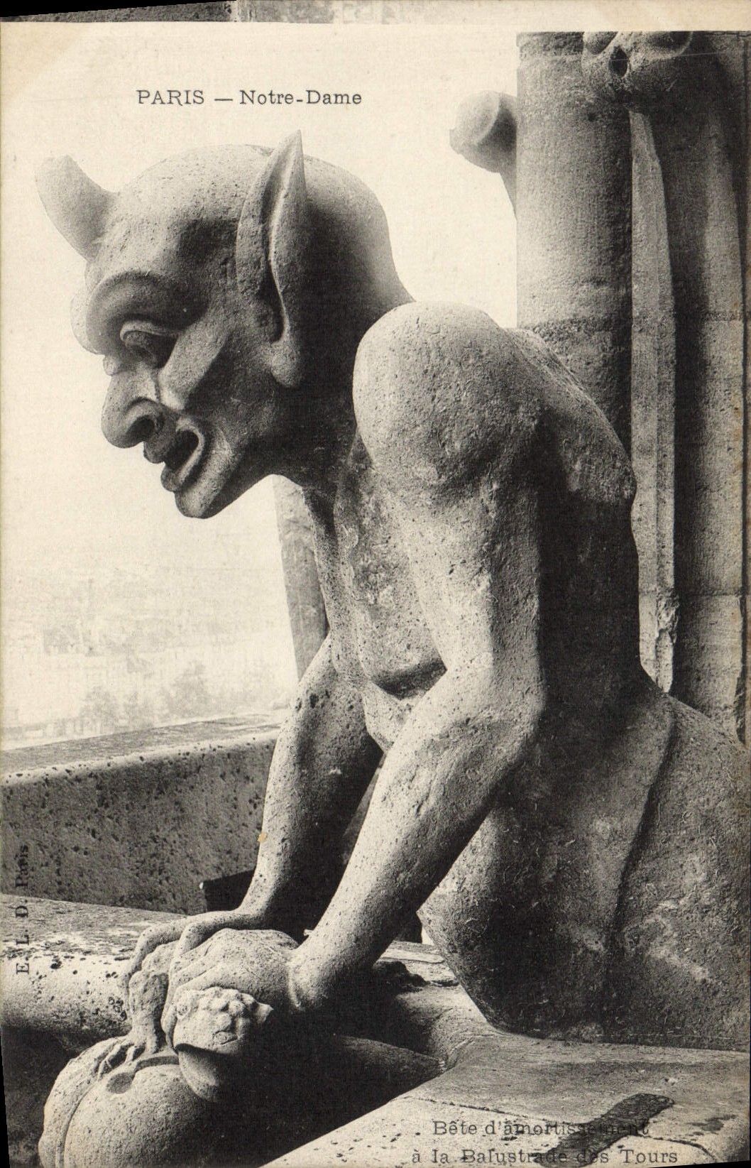 Paris — Notre-Dame — Bête d'amortissement à la balustrade des tours