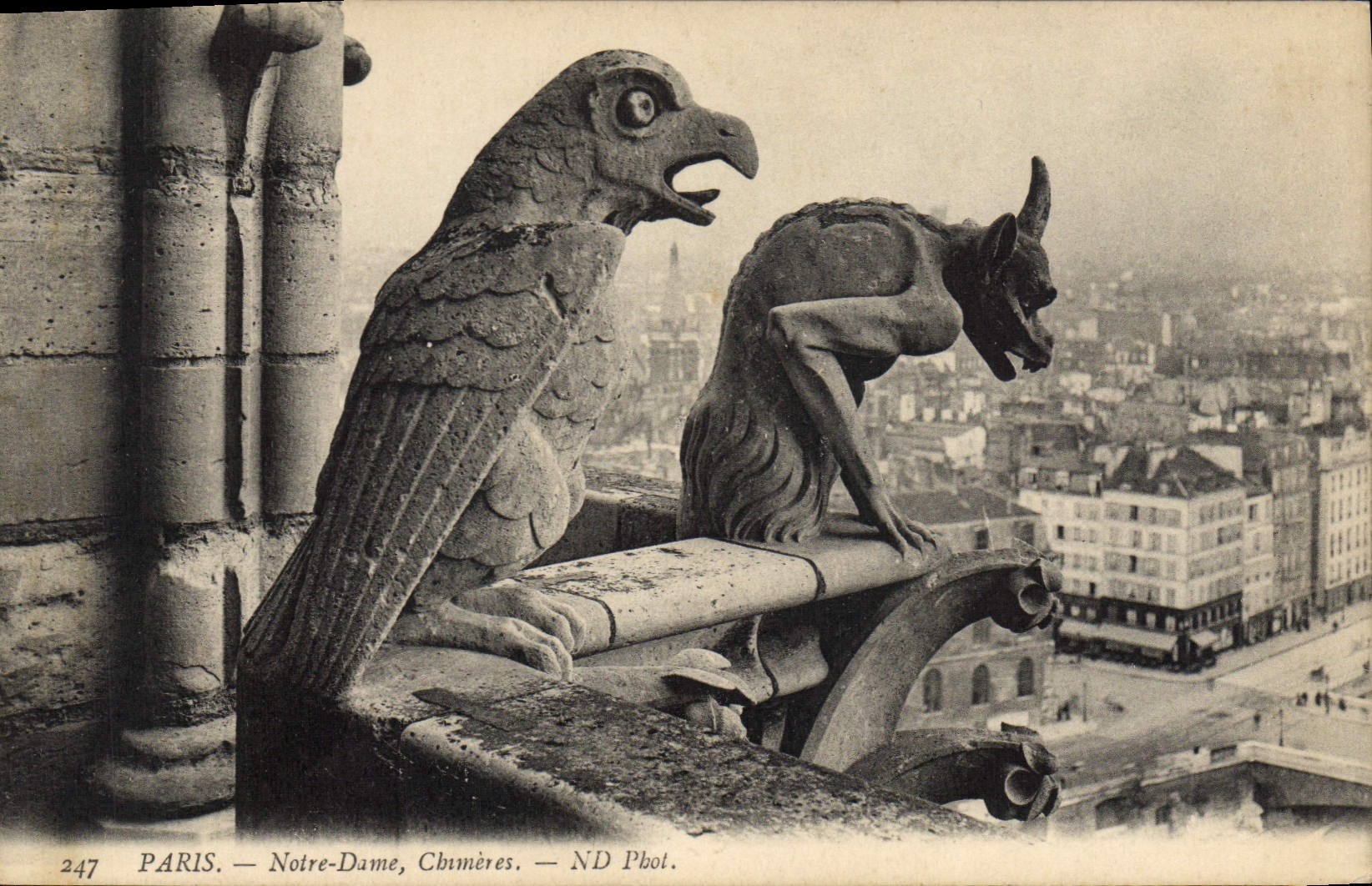 Paris — Notre-Dame, Chimères — ND Pbol.