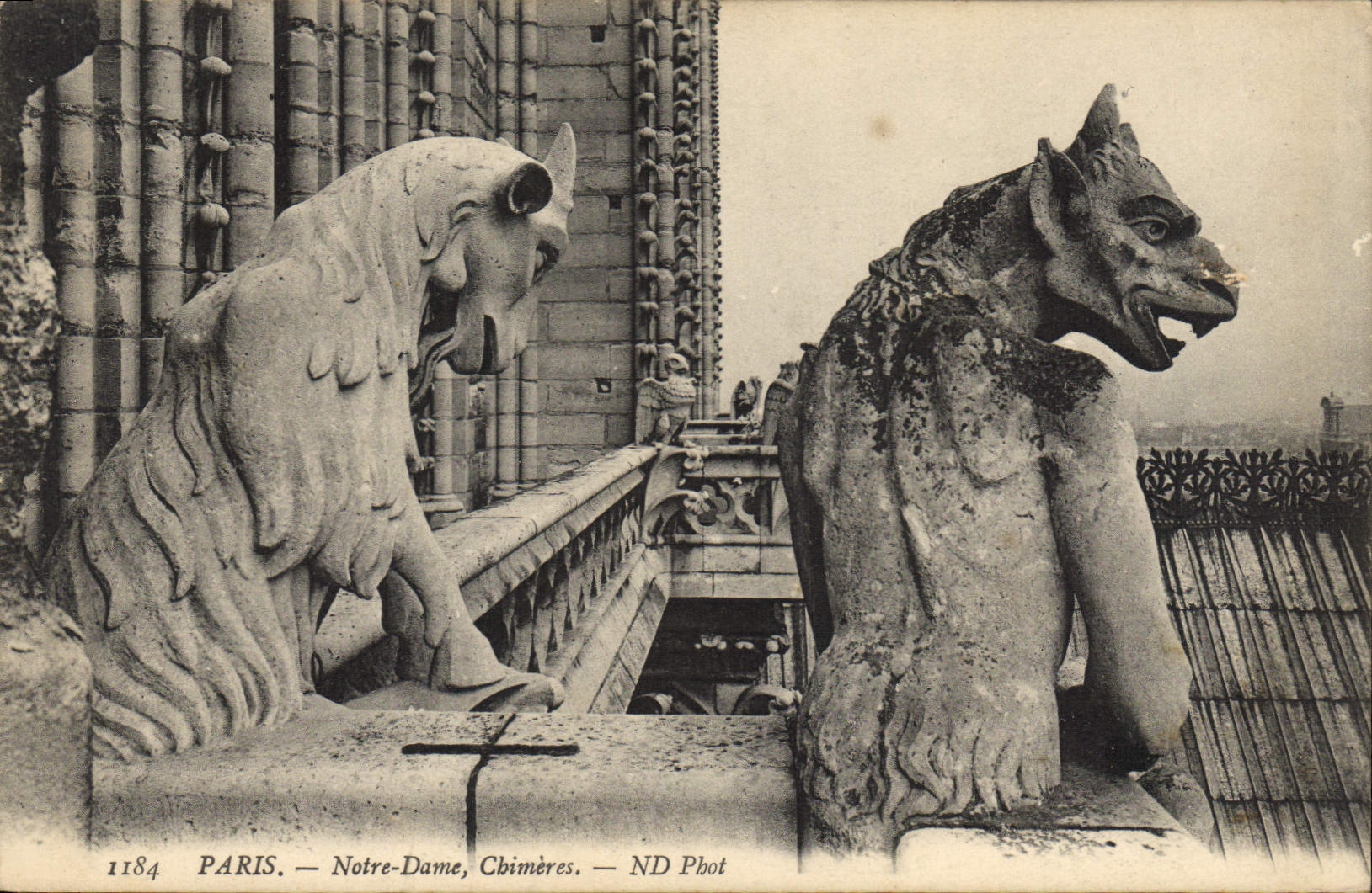 CPA Gargouille Paris Eglise Notre Dame Chimeres