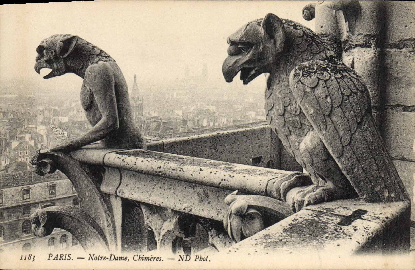 CPA Gargouille Paris Notre Dame Chimeres