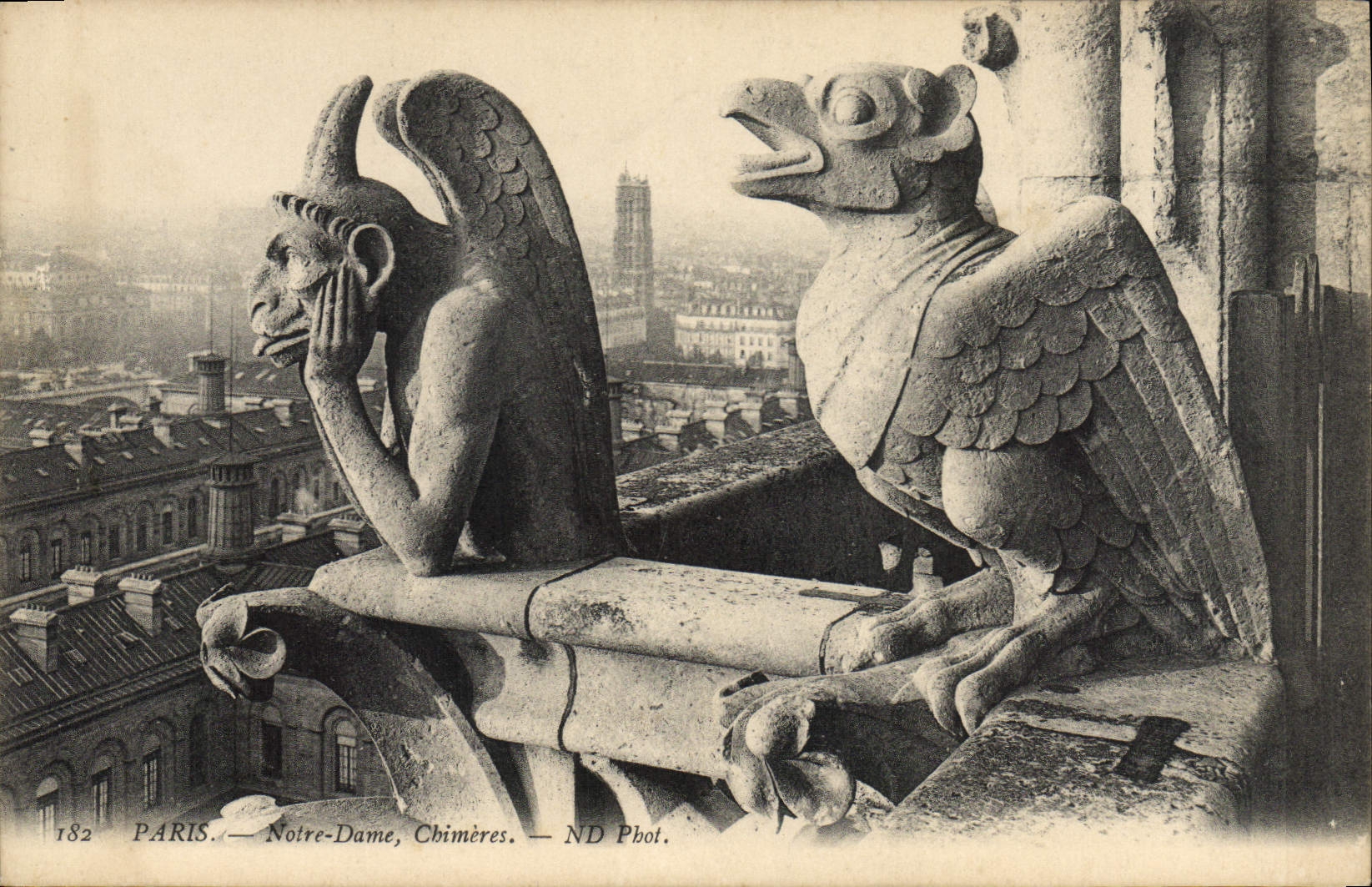 CPA Gargouille Paris Notre Dame Chimeres