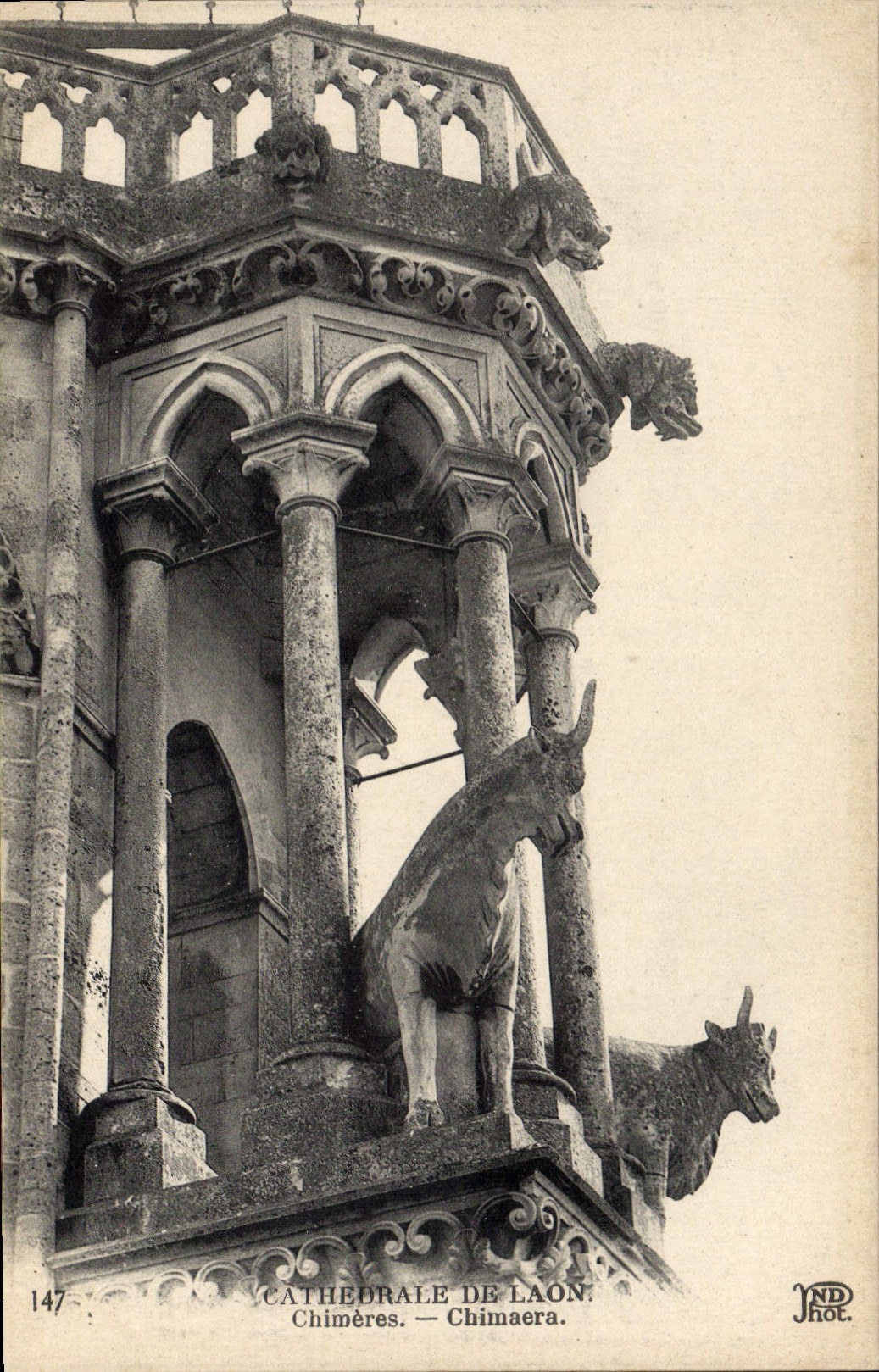 CPA Gargouille Cathedrale de Laon Chimeres