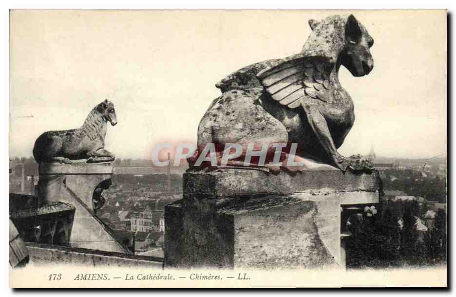 CPA Gargouille Amiens La cathedrale Chimeres