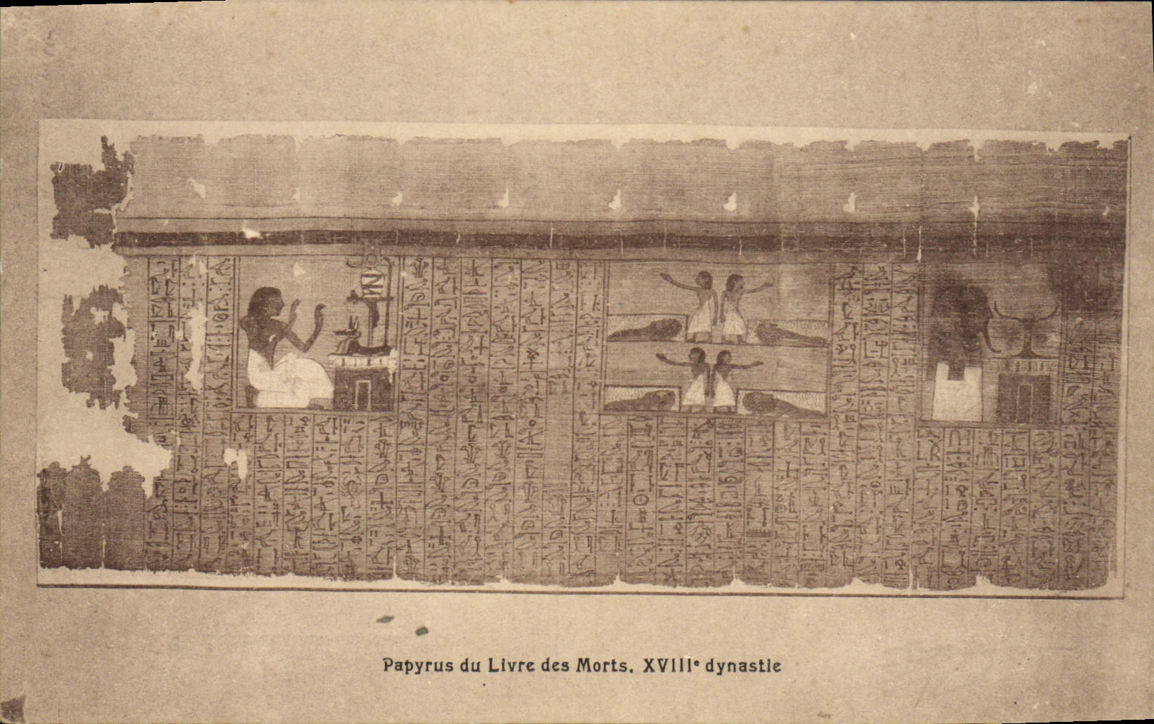 CPA Mort Papyrus du livre des morts Egypt Egypte