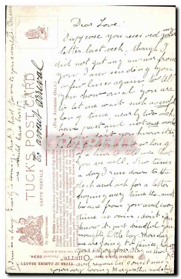 Deux Collies — Peinture de Bilette — Tuck's Postcard — Reverso