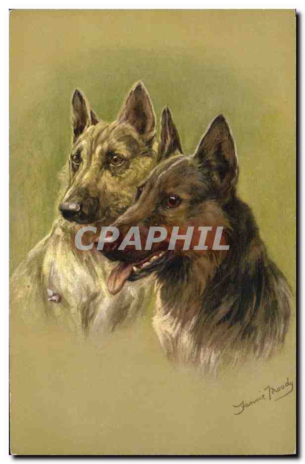 Deux chiens — portrait — Jannie Moody