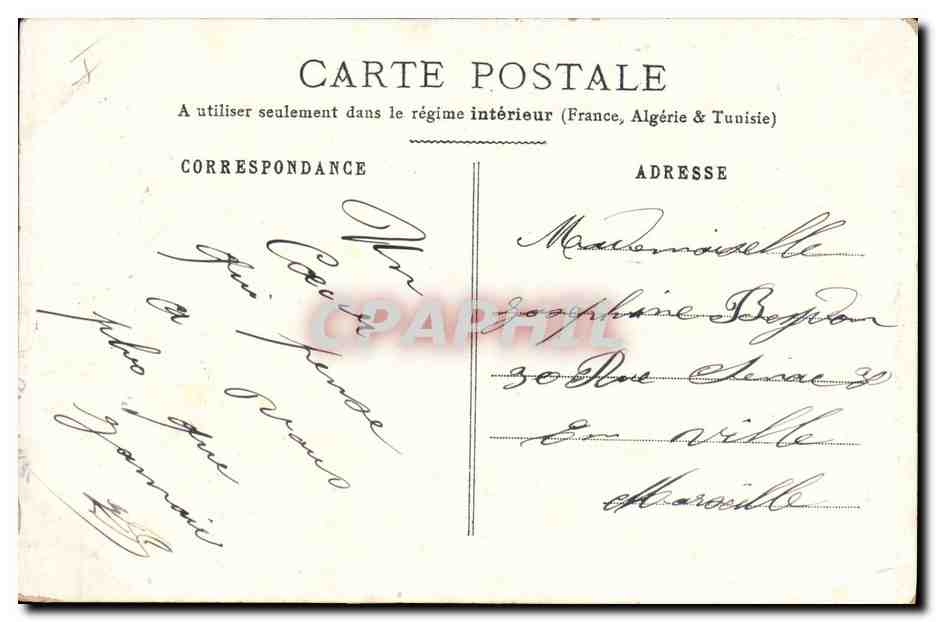 Trois chiots d'arrêt — illustration — éditeur inconnu — Reverso