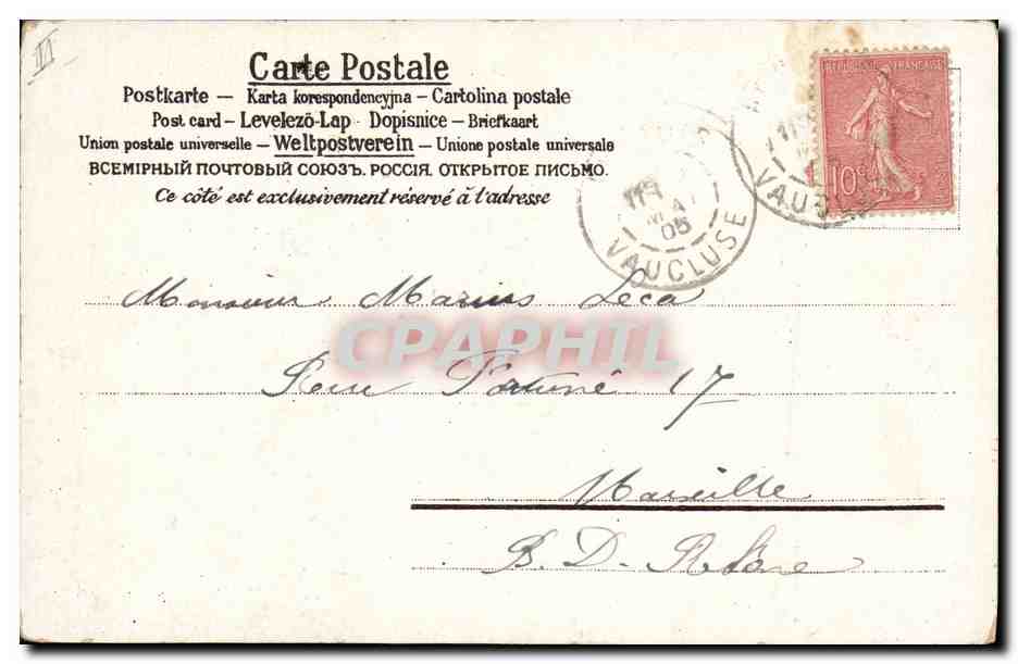Chien et violettes — carte postale illustrée — éditeur non identifié — Verso