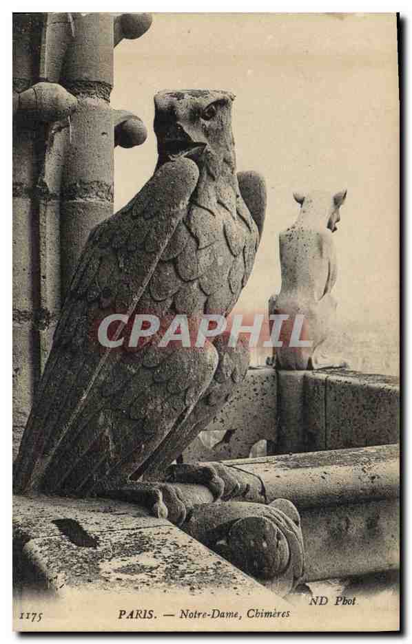 CPA Gargouille Paris Notre Dame Chimeres