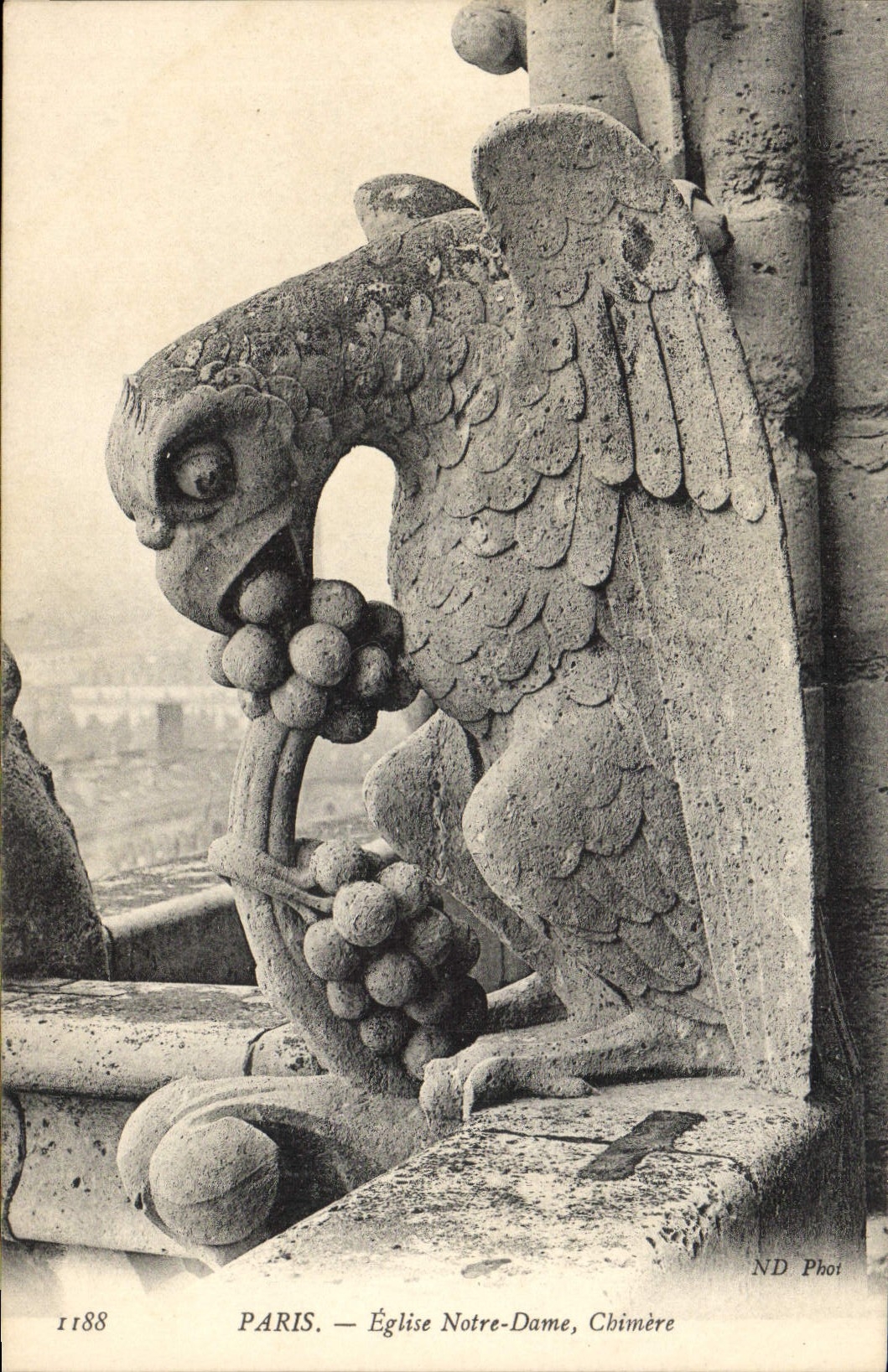 CPA Gargouille Paris Notre Dame Chimere