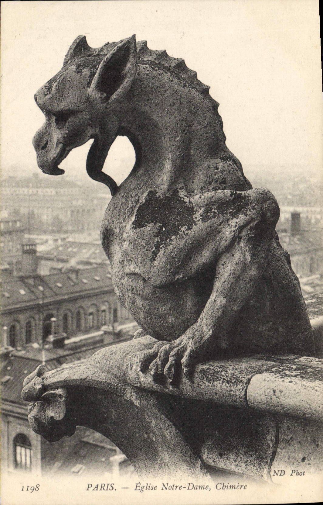 CPA Gargouille Paris Notre Dame Chimere