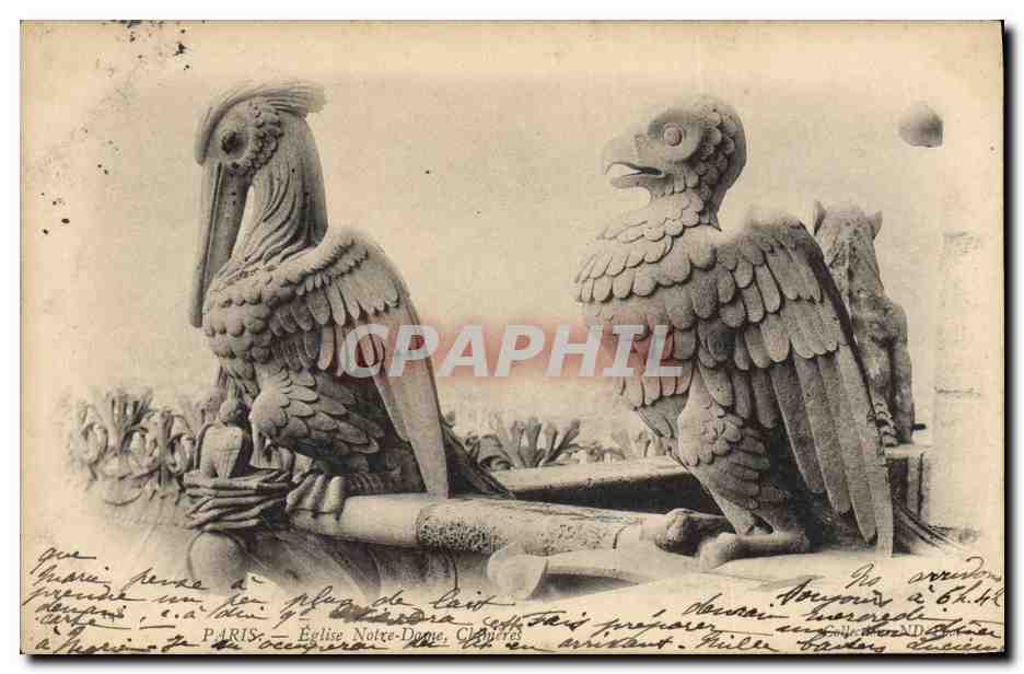 CPA Gargouille Paris Notre Dame Chimeres