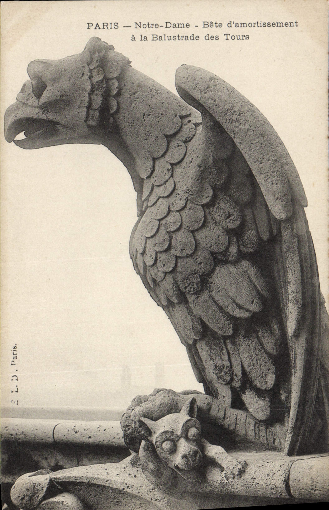 CPA Gargouille Paris Notre Dame Bete d'armortissement a la balustrade des tours