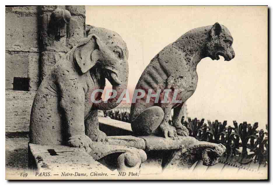 CPA Gargouille Paris Notre Dame Chimere Elephant