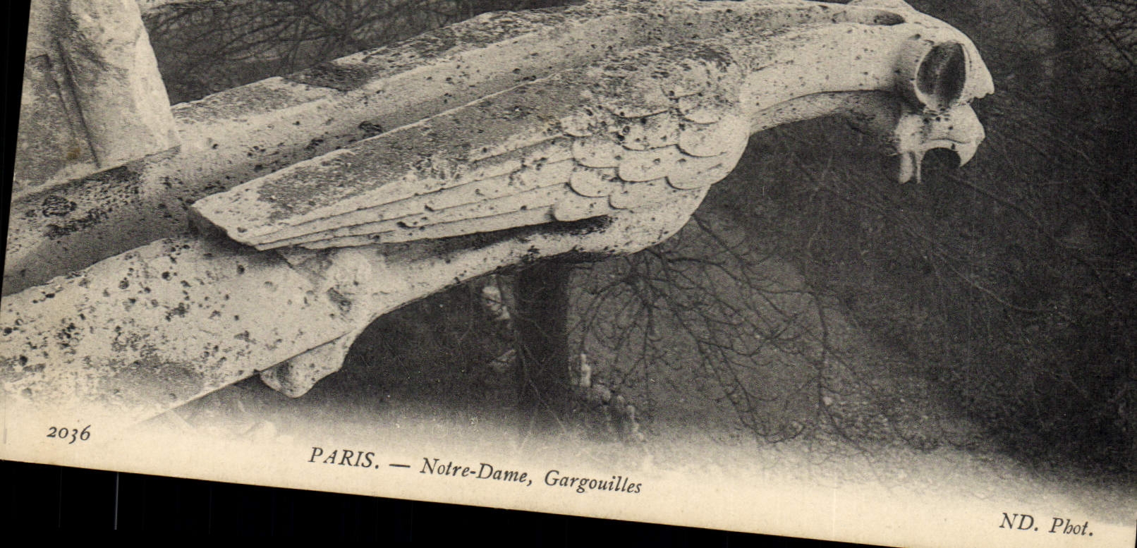 CPA Gargouilles Paris Notre Dame 