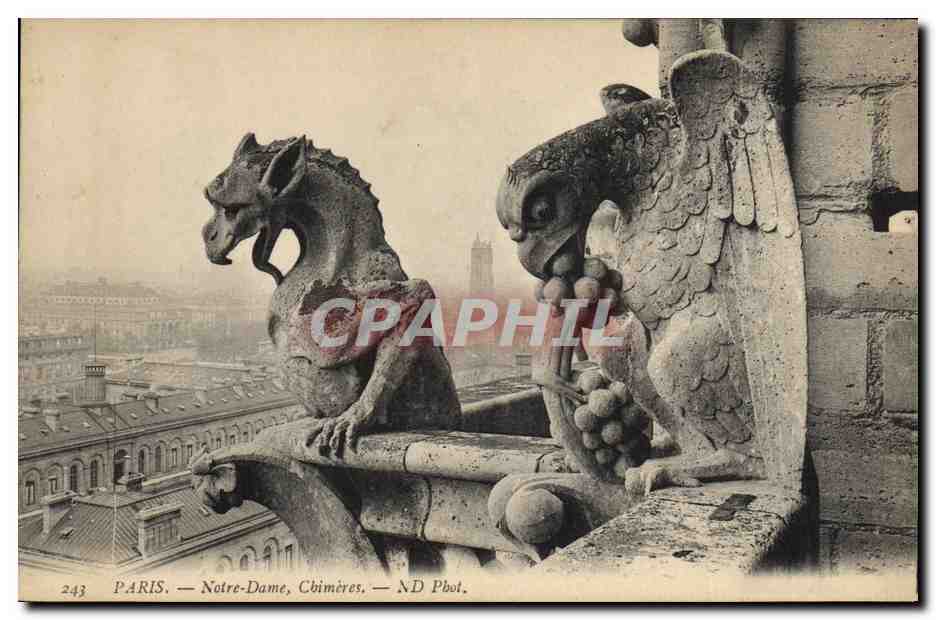 CPA Gargouille Paris Notre Dame Chimeres