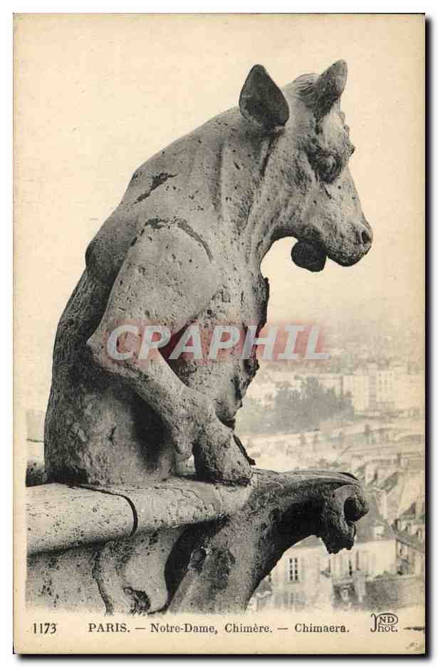 CPA Gargouille Paris Notre Dame Chimere