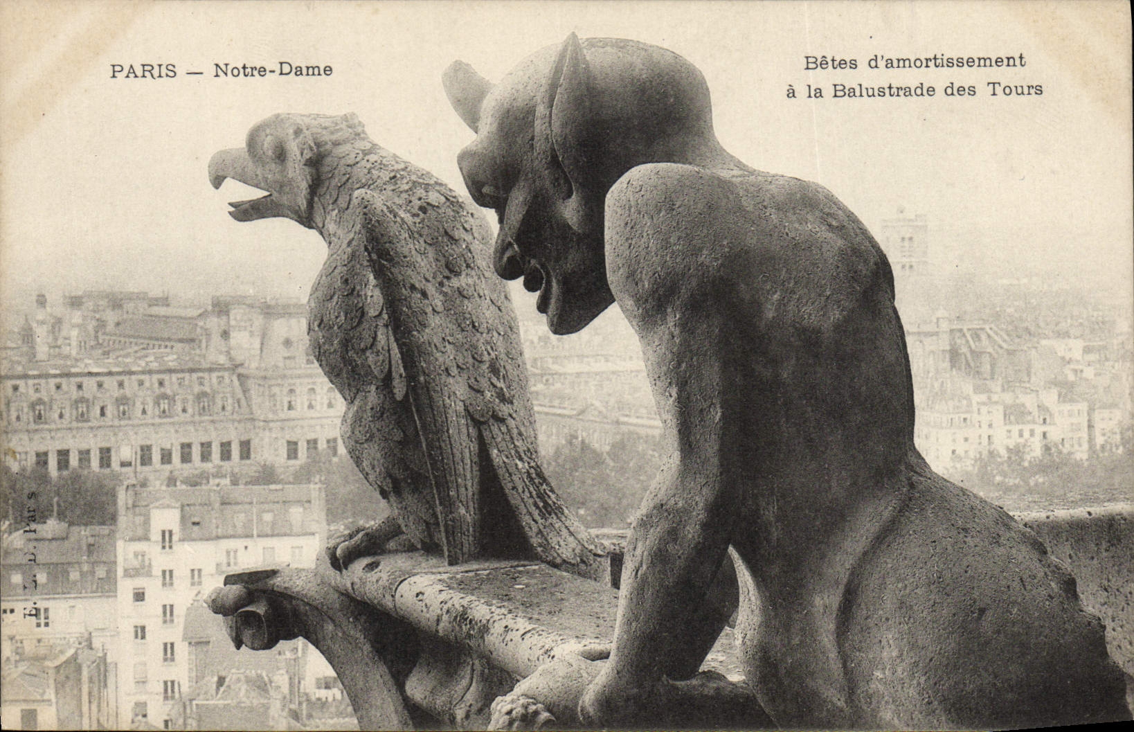 CPA Gargouille Paris Notre Dame Betes d'armortissement a la balustrade des tours