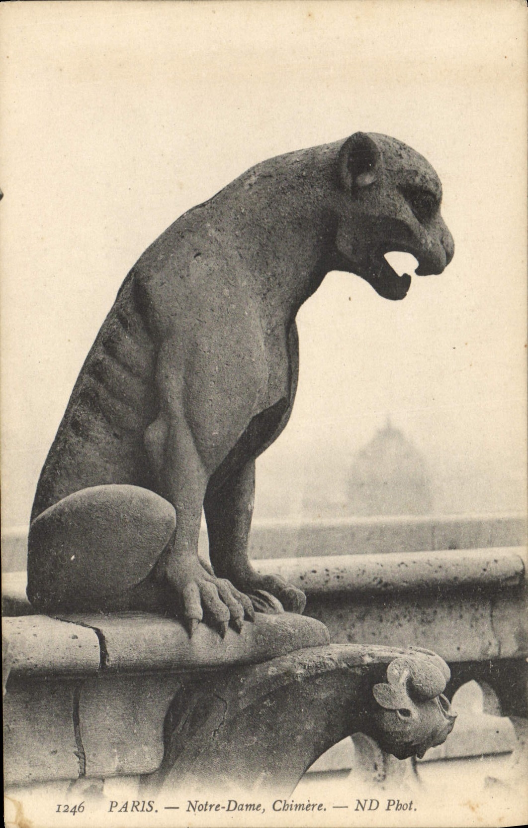 CPA Gargouille Paris Notre Dame Chimere