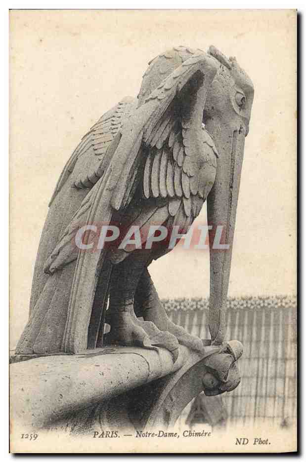 CPA Gargouille Paris Notre Dame Chimere