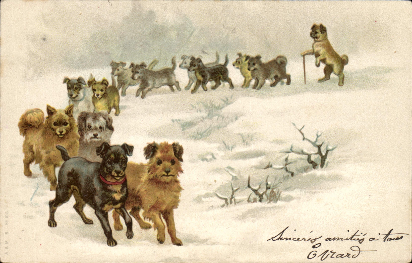 Chiens dans la neige — A.S.M. B. MUDRA — n° 143
