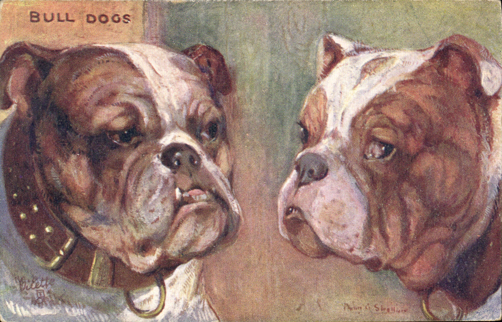 Deux bulldogs — illustration — Violette, Paul L. Obeghane