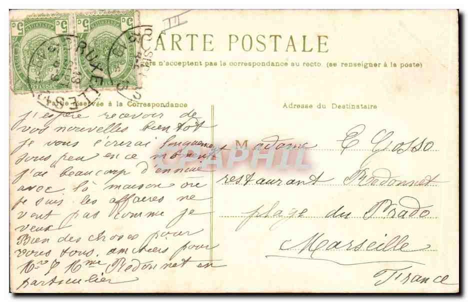 Chien et chat — illustration — éditeur inconnu — Reverso