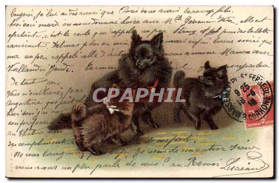 Trois chiens — illustration — éditeur non visible
