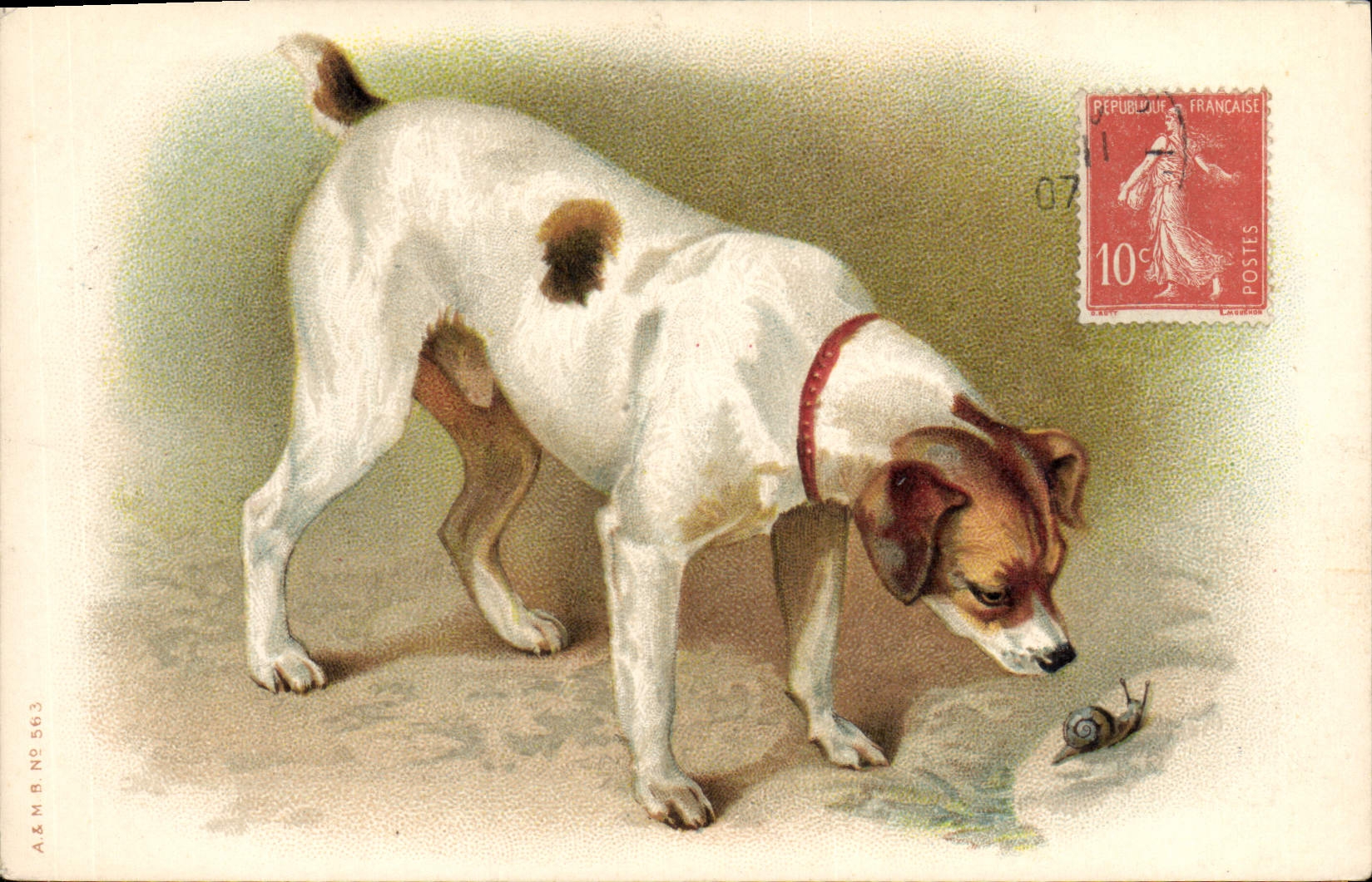 Chien à la couleuvre — A&M B N°563 — éditeur A&M