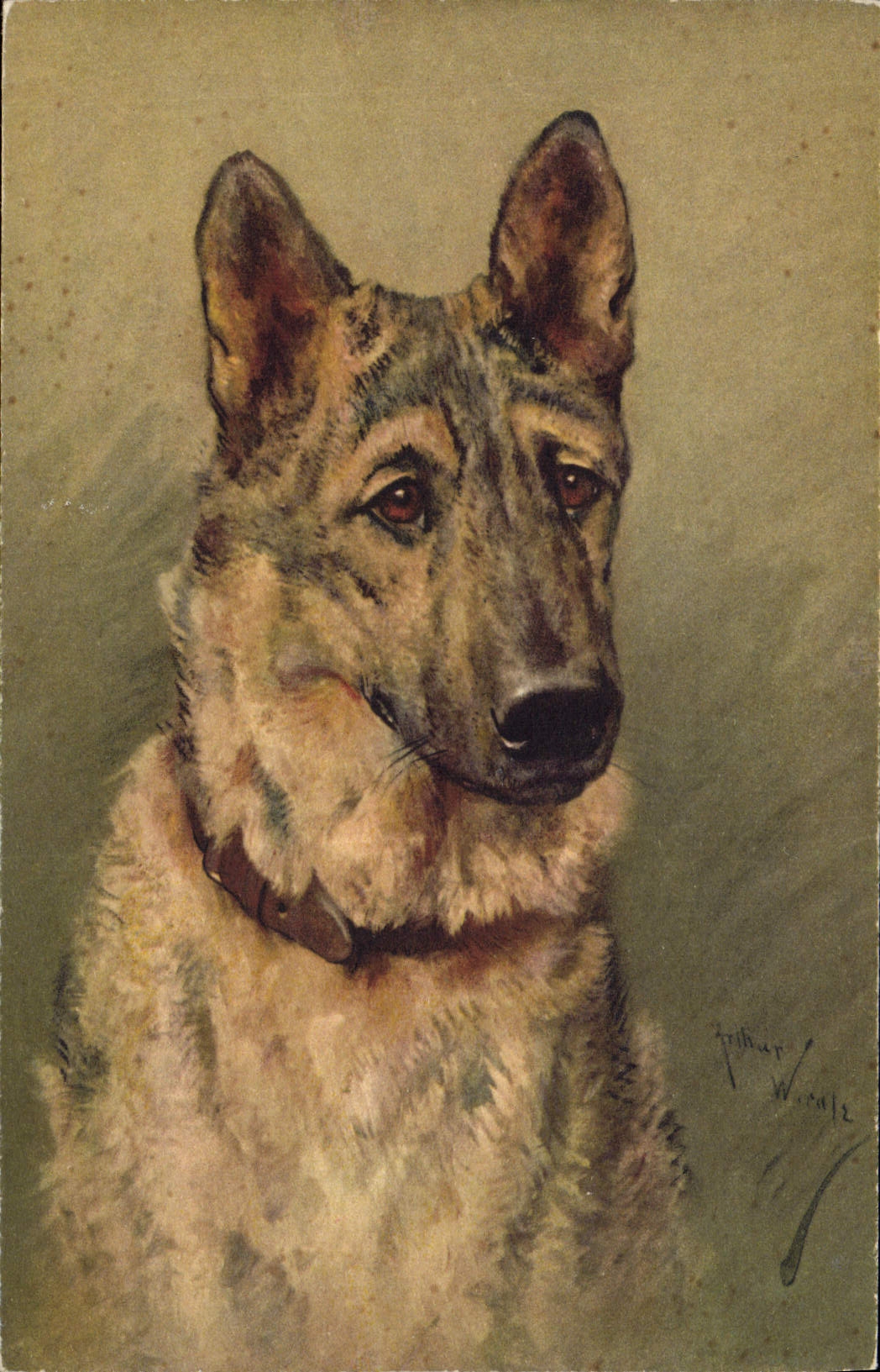 Portrait de chien — œuvre d'Arthur Wirtz — éditeur STF, n° 109